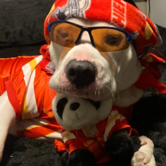 Meet your Posher, Aubrey - Picture 2 of 6